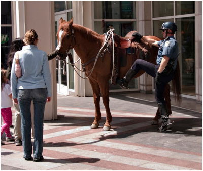 S_OzeR_Friendly Horse.jpg