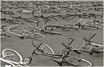 S_WagonerR_Rotary Auction - Reclining Bikes.jpg