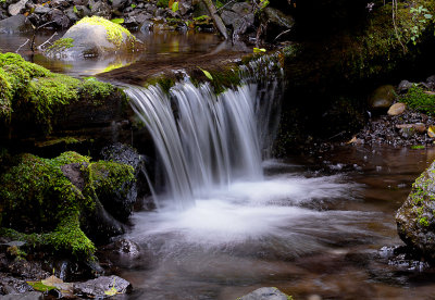 Dawn Bockus, Mini waterfall