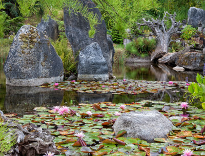 Sue DeArman, ElandanGardens