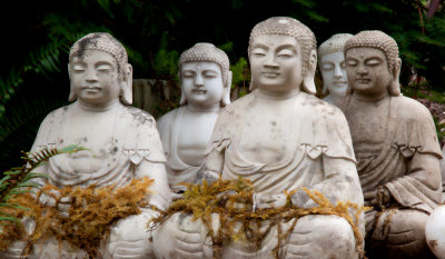 Sue DeArman, Sitting Buddhas