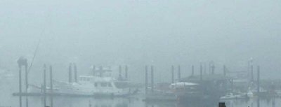 Don Cooper: Fogbound.jpg