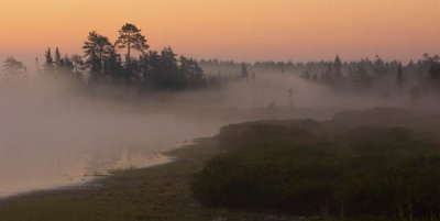 Hal Muhrlein: Morning Fog.jpg