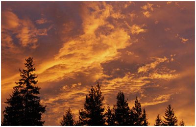 Ken Hales: Golden Sky in the Morning.jpg