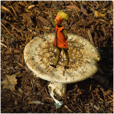 Ken Hales, Magical Mushroom