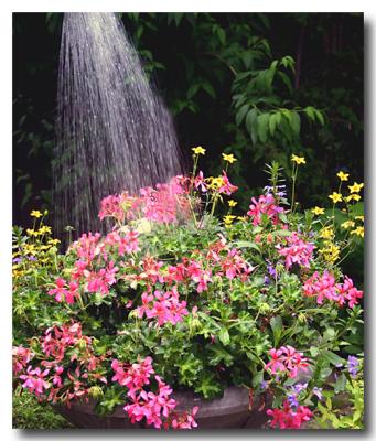 June 06 2006