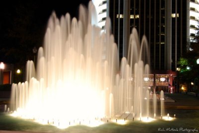 Light Water