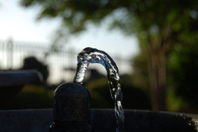 Thirsty