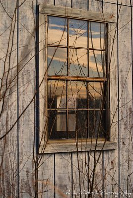 Window