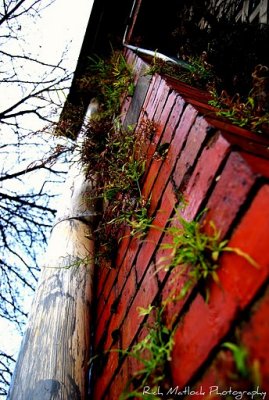 Looking up