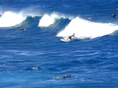Surfing Maui