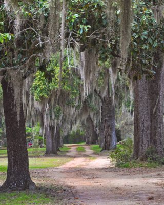 Old Cemetery Road