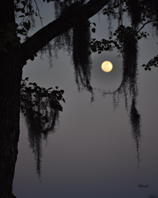 March 18 - Moon Over Montgomery