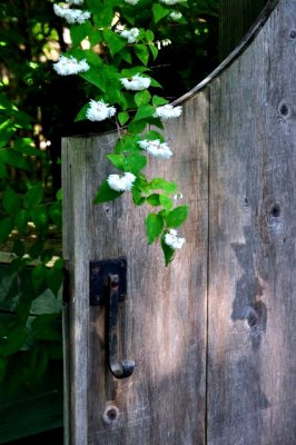 Garden Gate