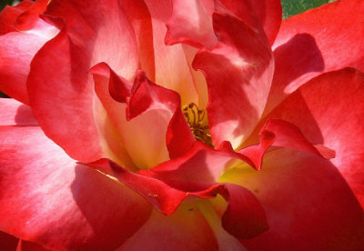 May Flowers at the Gardens