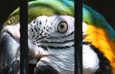 The Montgomery Zoo