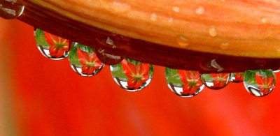 Raindrops!