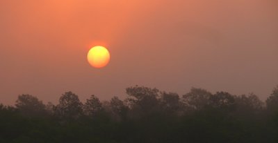 Foggy Sunrise