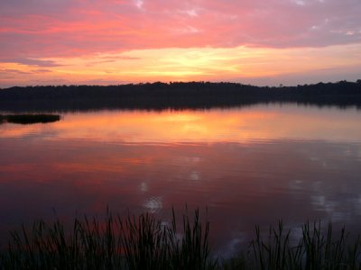 Paynes Prairie Sunset!