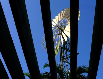 Glimpse of a Windmill..