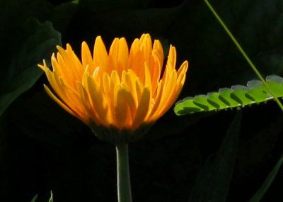 110712 - Montgomery Zoo 
