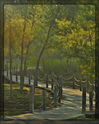 Misty Walkway