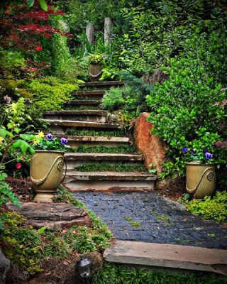 Steps to Paradise