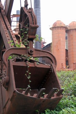 Overgrown