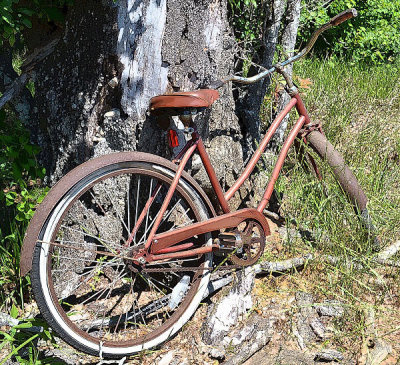Bike In The Woods