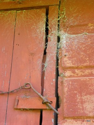 Spider Webs & Latches