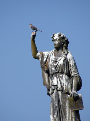 Bird on Statue.jpg