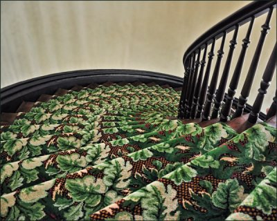 Carpeted Staircase