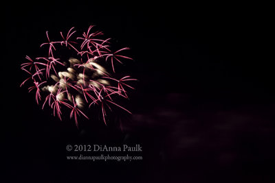 Fireworks Safari 2012