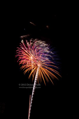 IMG_6397-copy.jpg