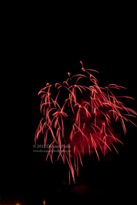 IMG_6432-copy.jpg
