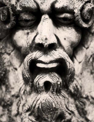 Timeless Visage