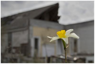 PhotoClub08.jpg