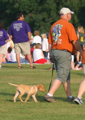 Balloon Festival Dogs