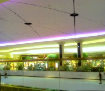 Ice Palace