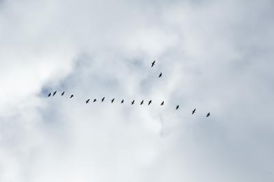 DSC_8461_PS_PRs.jpg
