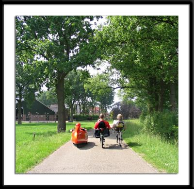 .... de lanen in.