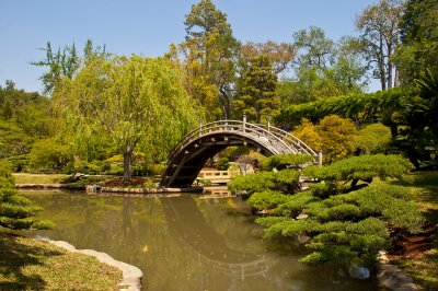 japanese gardens.jpg