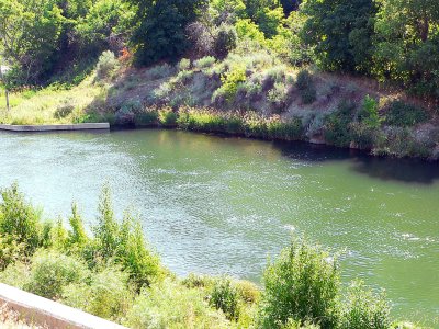 provo river2.jpg