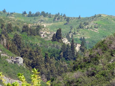 P1090086.jpg