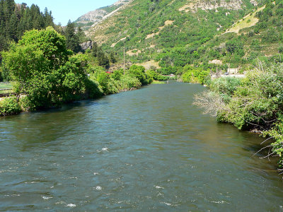 P1090103.jpg