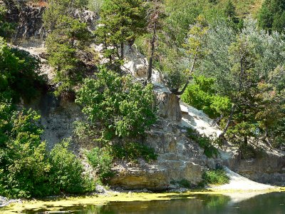 P1090106.jpg