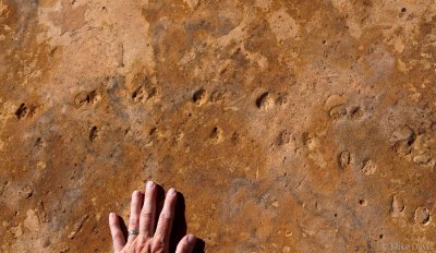 Petrified Footprints