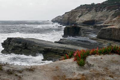 Point Lobos Cliffs