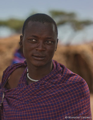 Handsome  young Masai Man