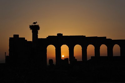 Etape 4 - Volubilis